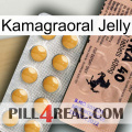 Kamagraoral Jelly 41